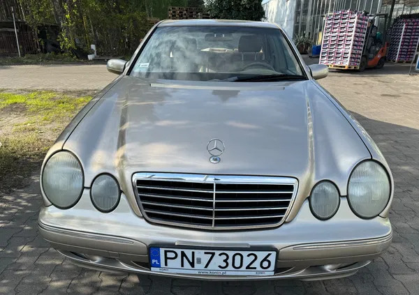 samochody osobowe Mercedes-Benz Klasa E cena 19900 przebieg: 71000, rok produkcji 2001 z Konin